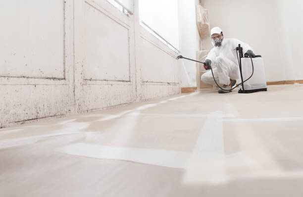 24/7 Emergency Mold Remediation experts in Comstock Park, MI