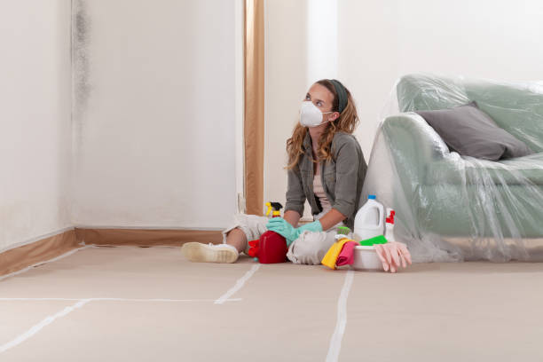 Reliable Mold Remediation contractor in Comstock Park, MI by Mold Remediation HQ
